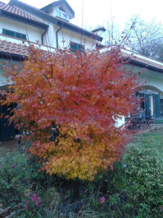 B&B Villa Paola Савона Екстер'єр фото